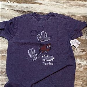 Disneyland Purple Tee Shirt Burnout Style
